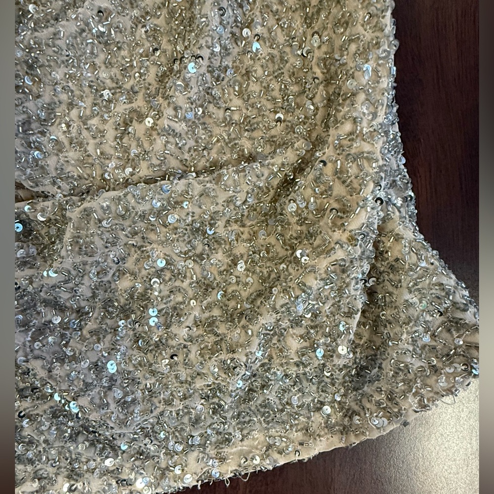 Haute Hippie Silver Sequin Embellished Top - Picture 6 of 8